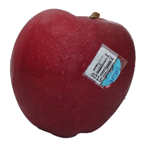 Red-Dell-_fullResolution